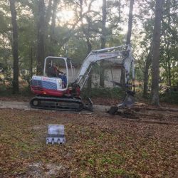 Photo Feb 03, 8 42 35 AM