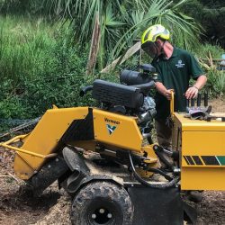 Photo Jun 04, 4 47 08 PM